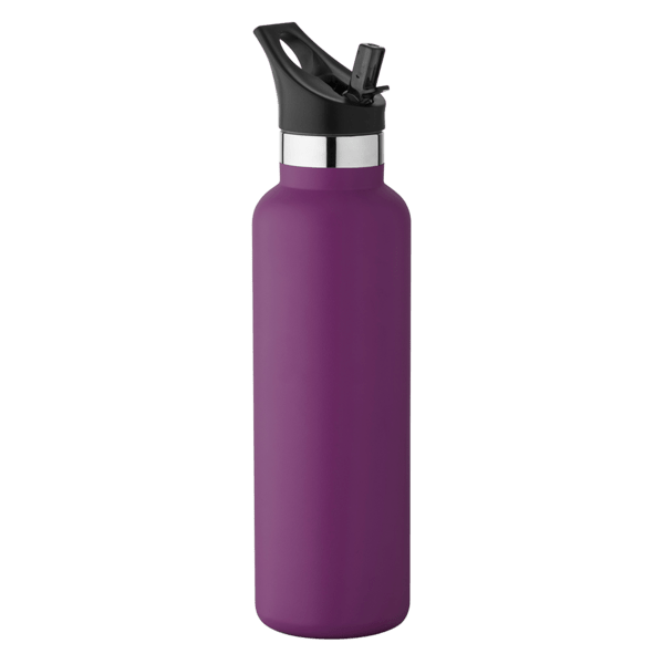 20 oz Basecamp Mesa Tundra Bottle with Screw Top and Flip-Top Straw Lid 179