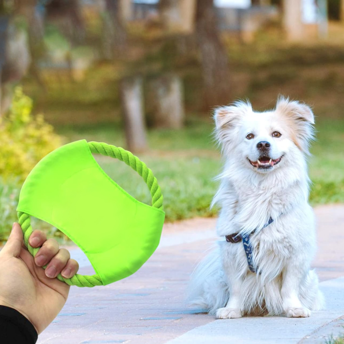Rope Ring Dog Frisbee Toy with Durable Fabric 8