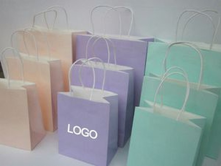 Craft Gift Bag/ Brown Paper Tempo Retail Paper Shopping Bag 2