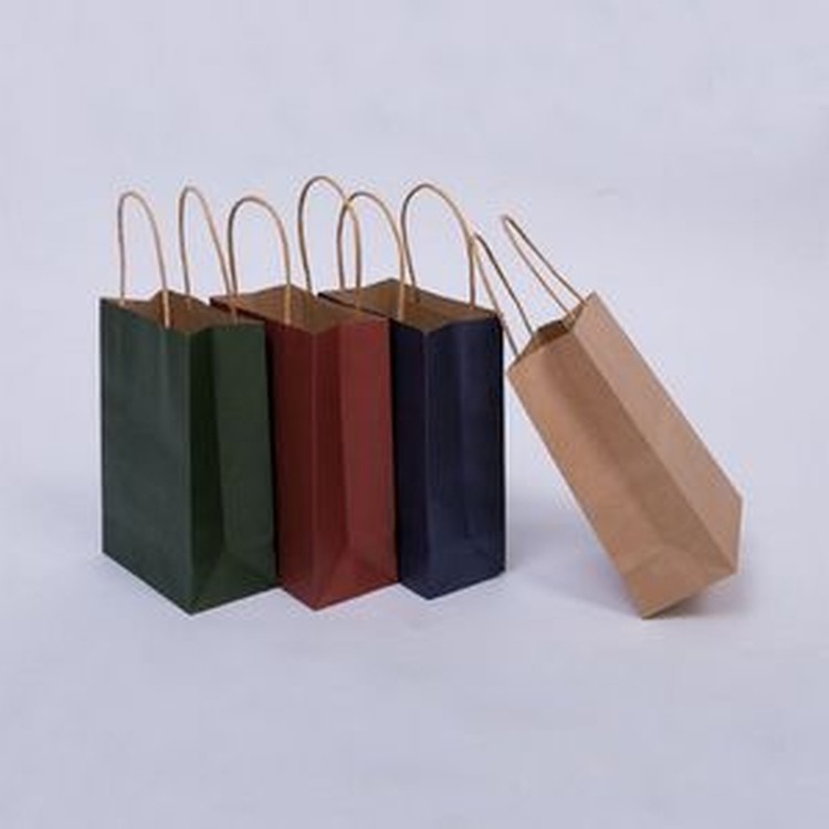 Luxury Party Paper Gift Bag w/ Twisted Raffia Handles 2