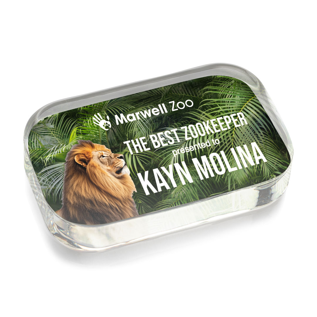 Halperin Rectangle VividPrint™ Paperweight 10
