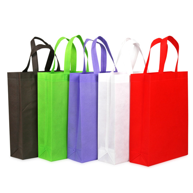 Non Woven Fabric Carry Bag 2