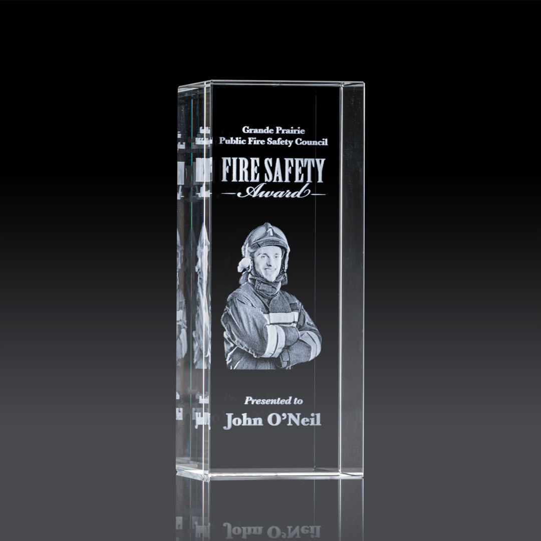 Dakota 3D Award 3