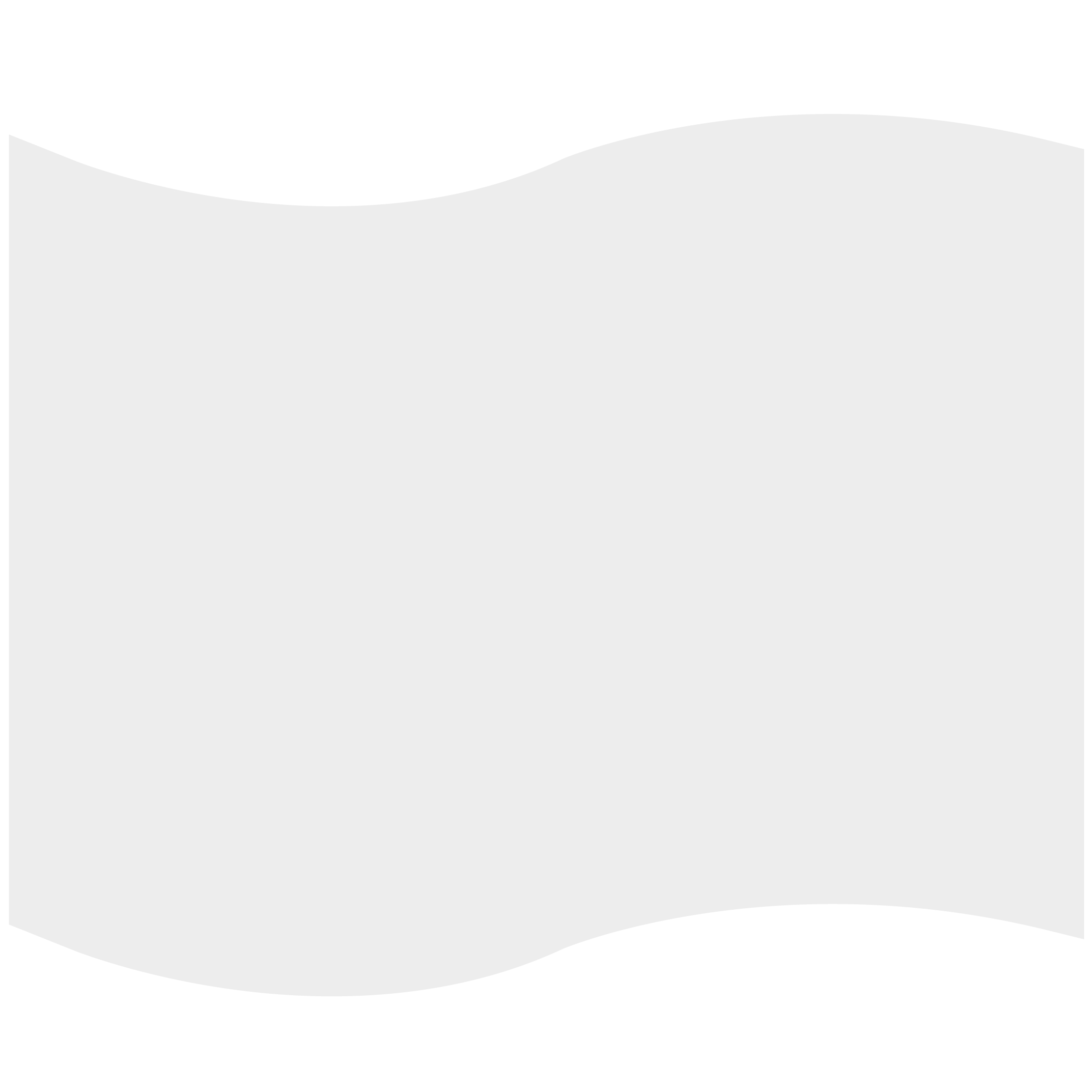 Foam Flag Mitt 16