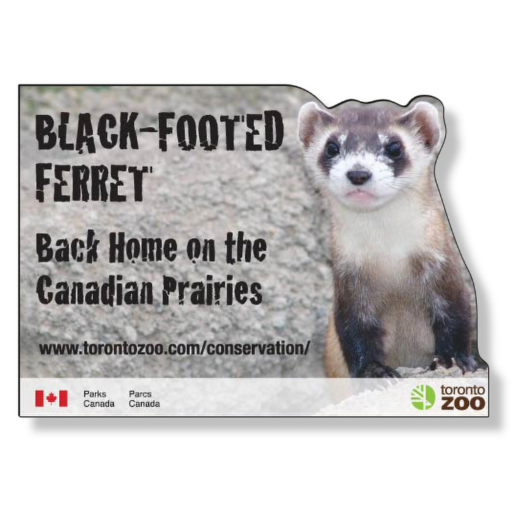 Custom .020 Magnet 20 to 24 sq/in High Res Full Colour, White Vinyl Topcoat