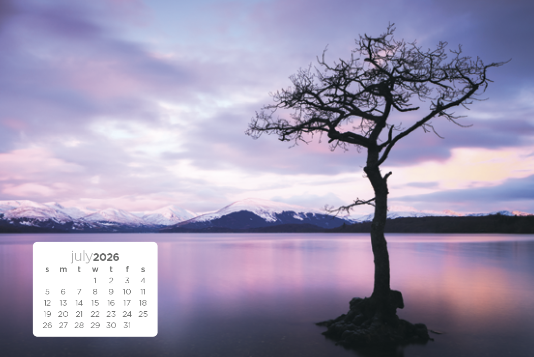 Triumph® Calendars Simplicity Large Desk Calendar 5
