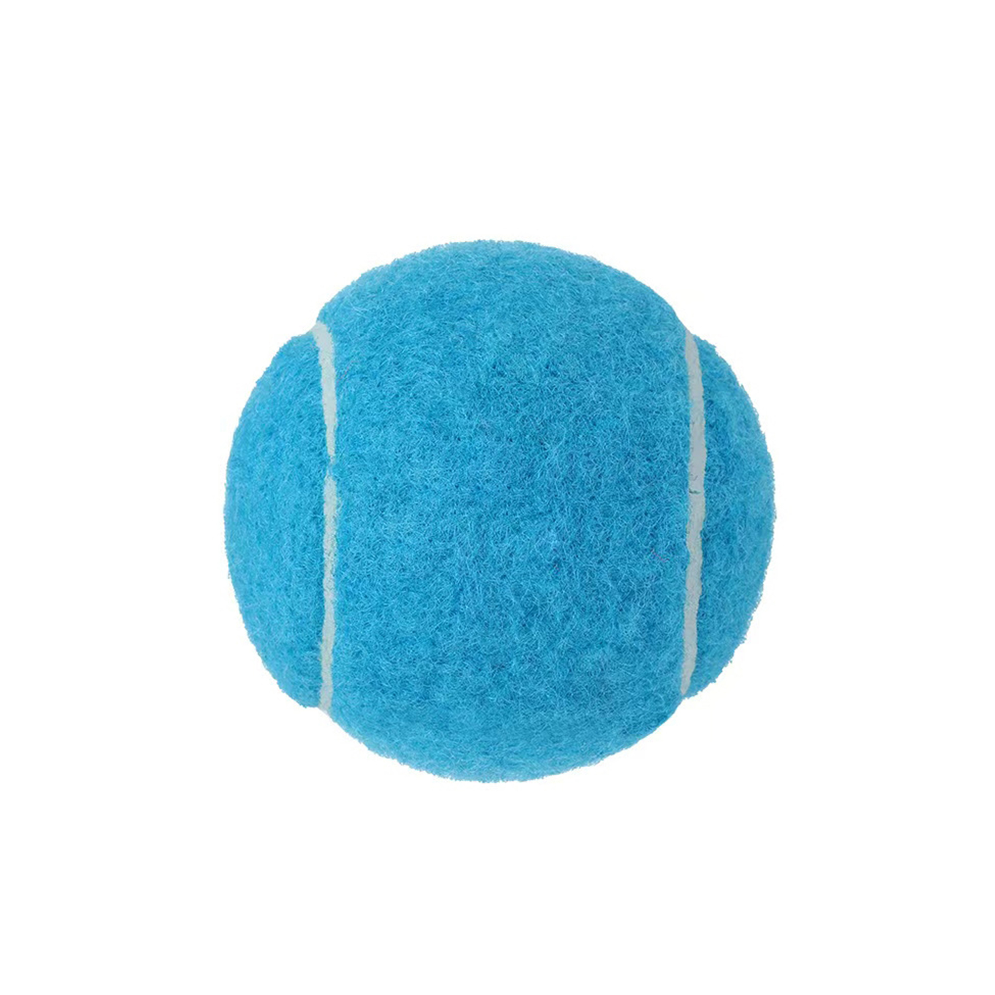 Pet Tennis Ball 2.5" Diameter For Fetch Training 11