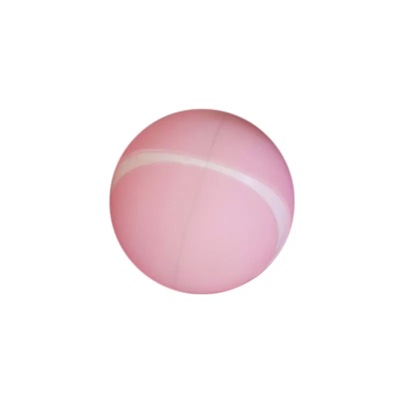 Remote Pet Ball 2