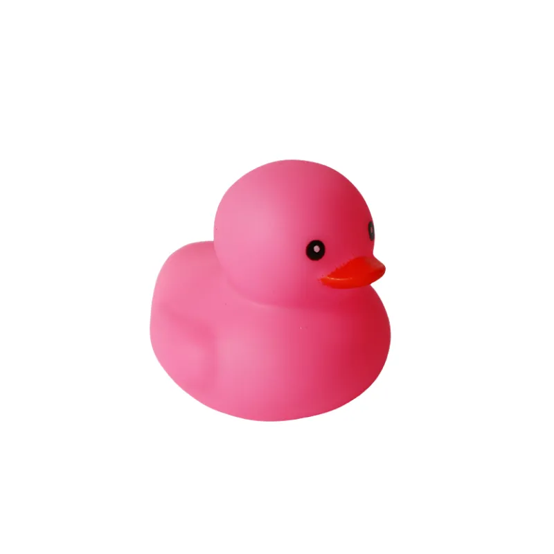 Colorful Duck Toy 2