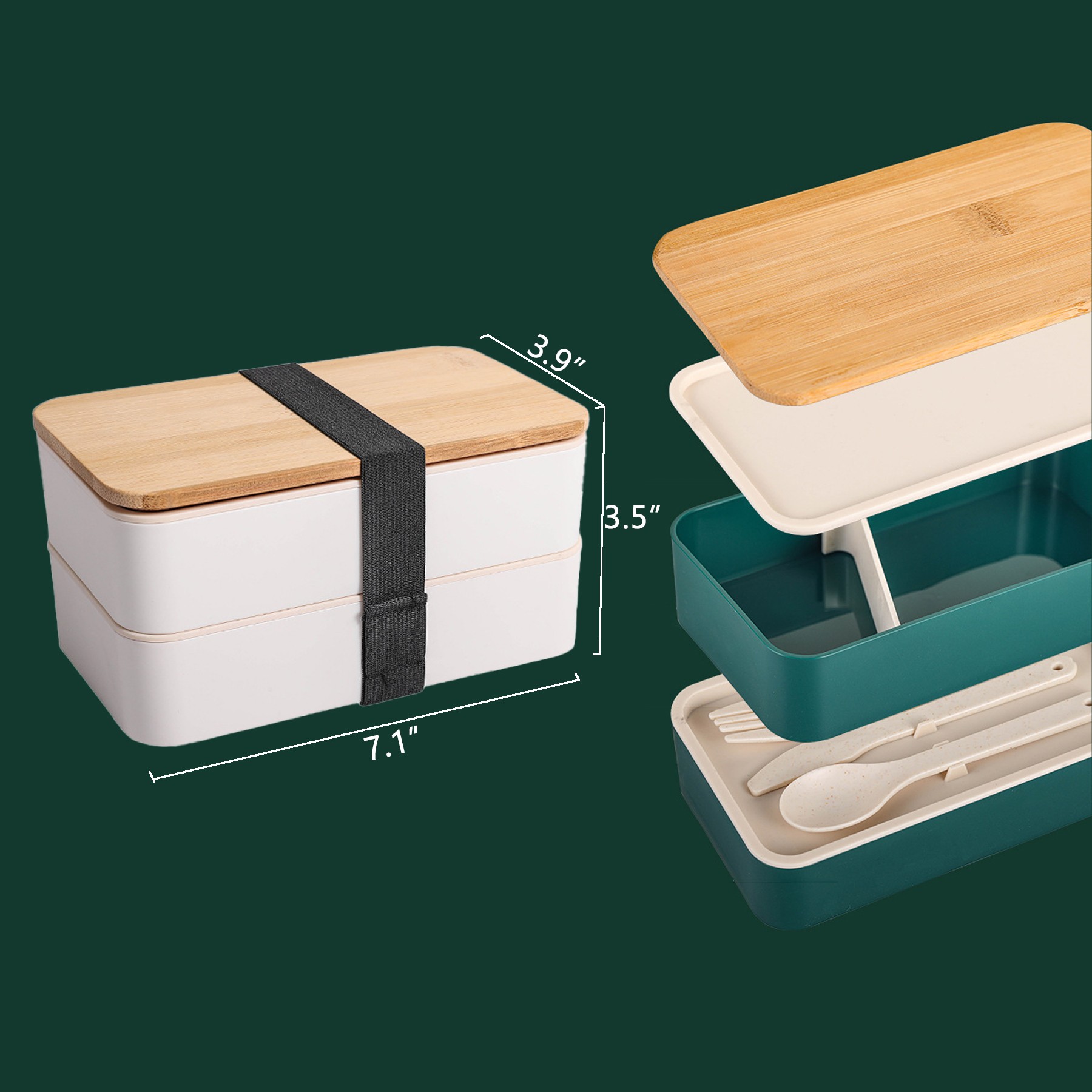 Japanese Lunch Box 2