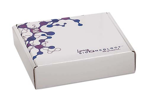 6" x 6" x 1-1/2" - E-Flute Outside Tuck Box 2