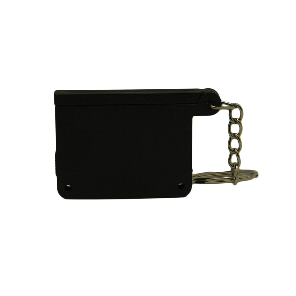 Hollywood Keyring 9