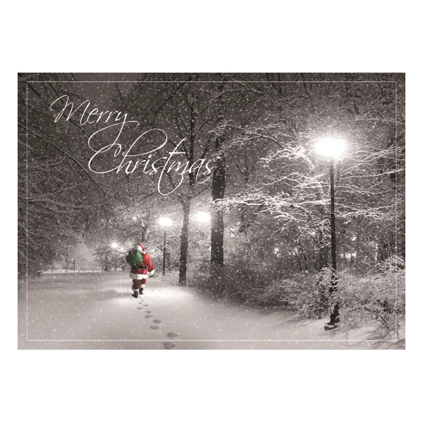 Special Delivery Christmas Greeting Card 1