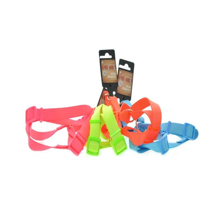 Neon Pet Harnesses - Assorted Medium 2