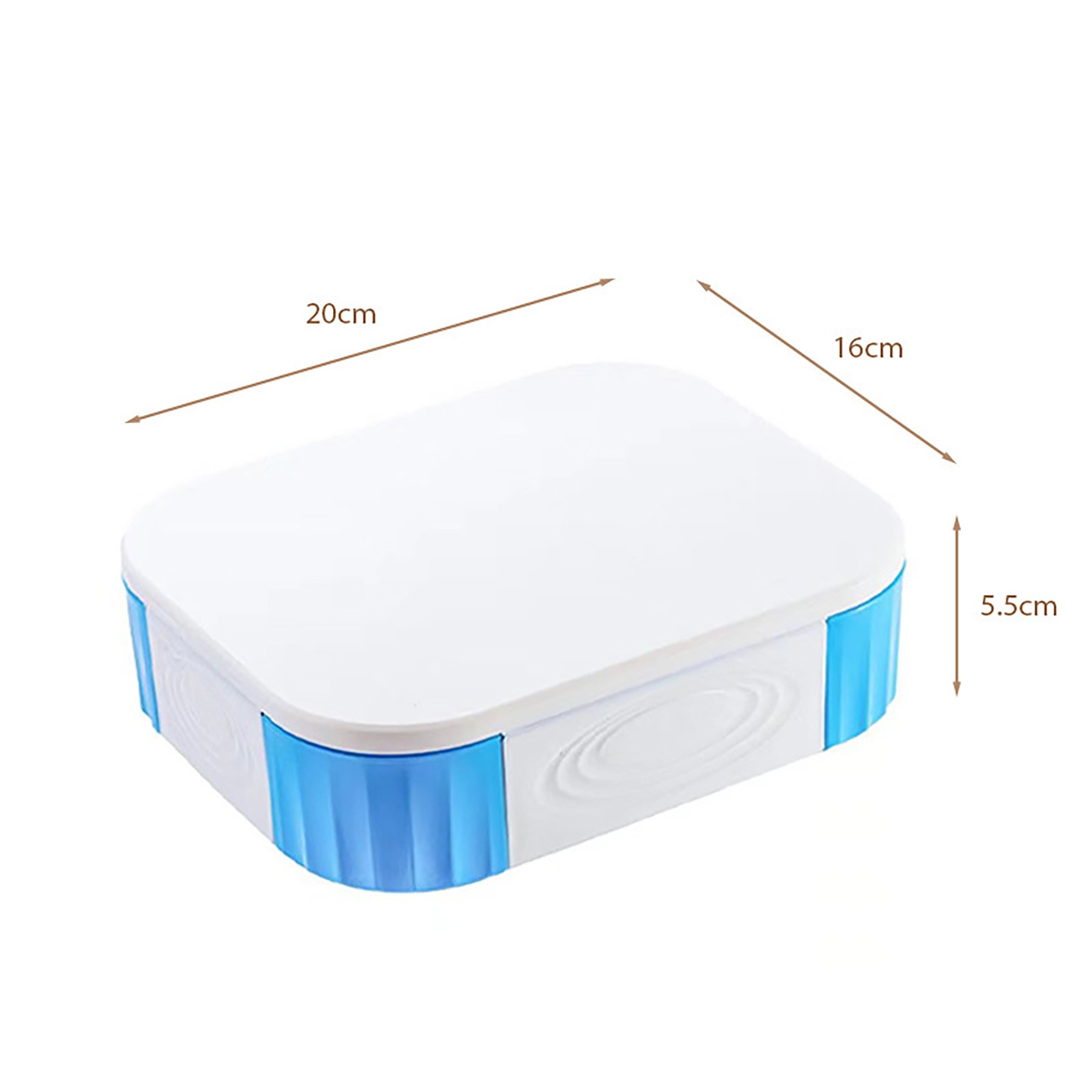 Lunch Box 7