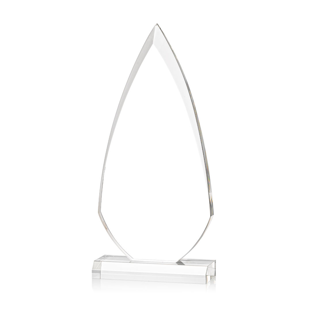 Vanderbilt VividPrint™ Award 11