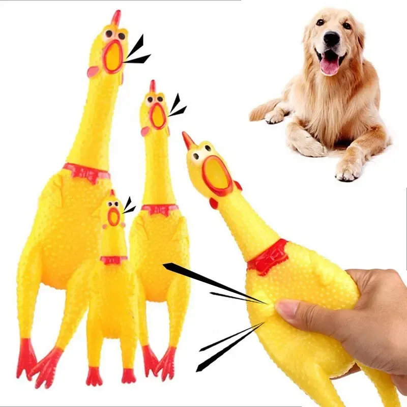 SqueezeyRubber chicken toy 8