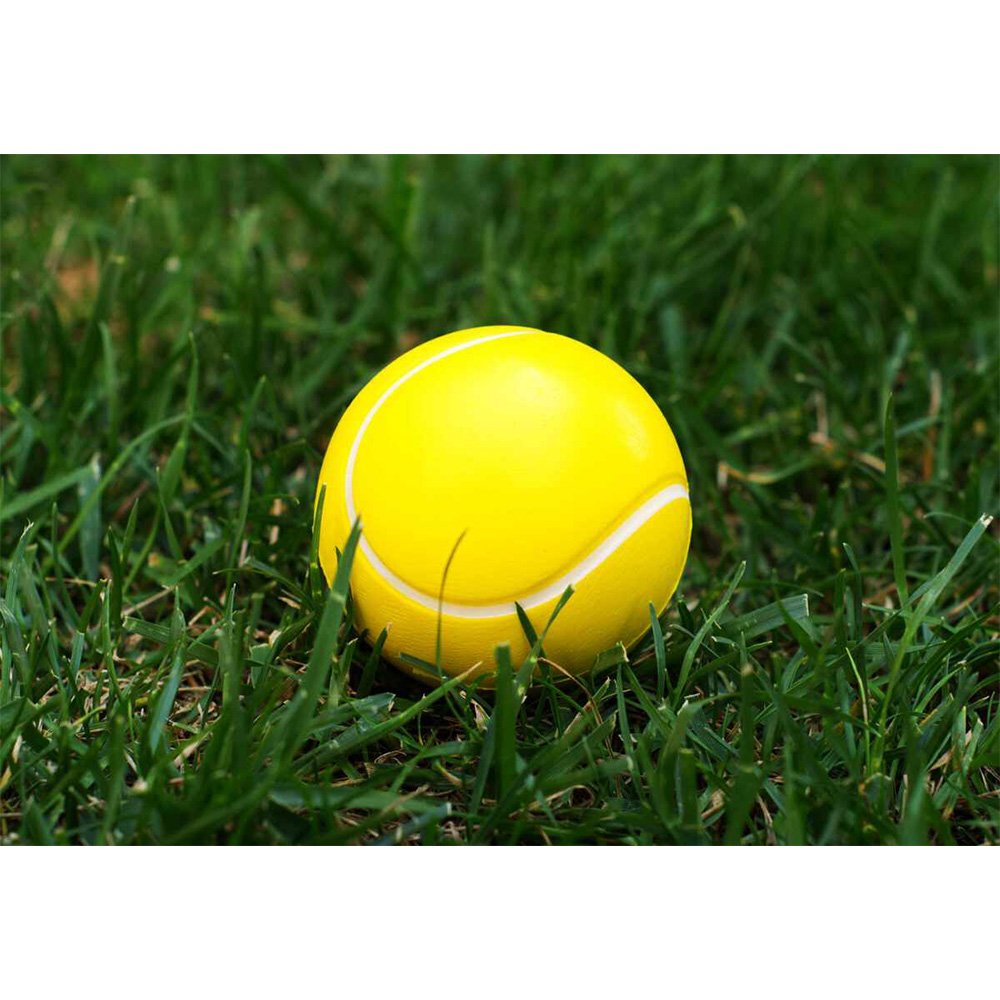 Tennis Ball Stress Reliever 9