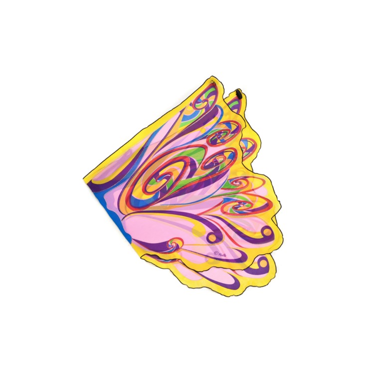 Fairy Rainbow Wings 1