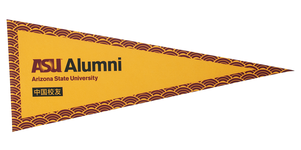 12" x 30" Full Color Felt Pennant, No Strip 6