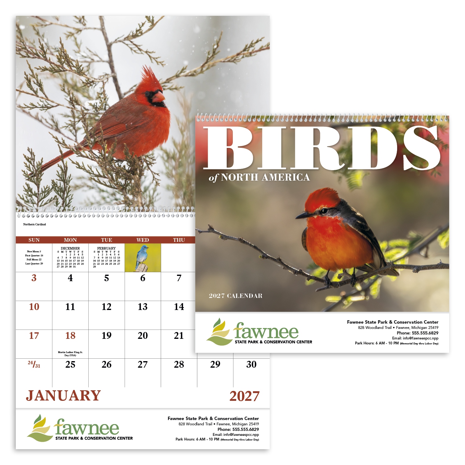 Good Value™ Birds of North America - Spiral Calendar 9