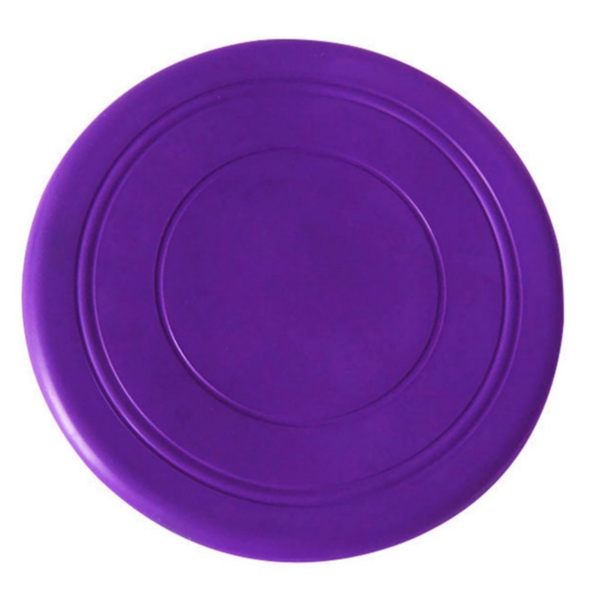 Backyard Dog Flyer Game Toy 9