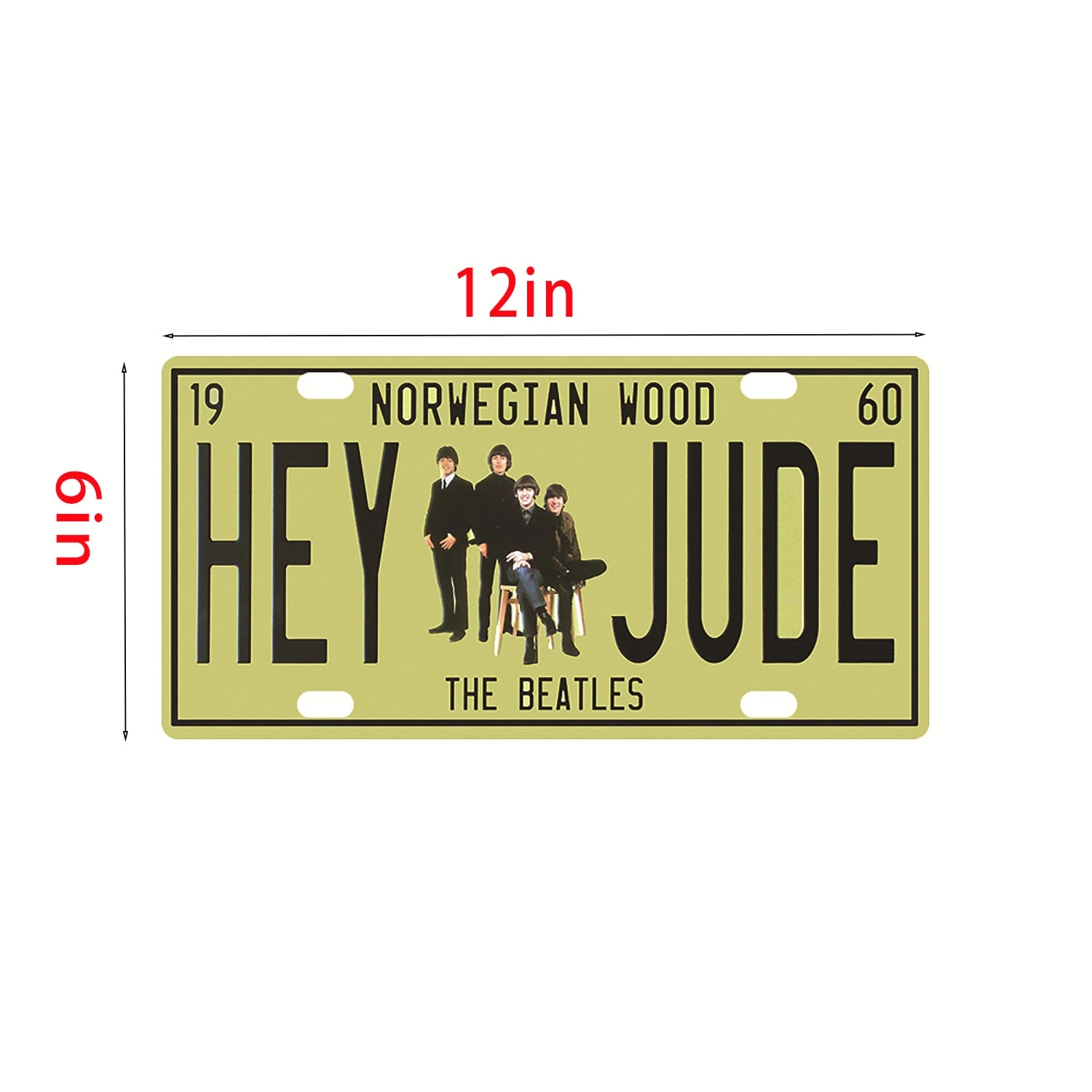 Custom Aluminum License Plate 6