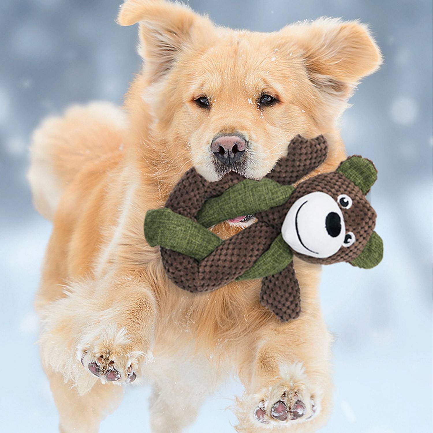 Chew Proof Squeaky Pet Toy 13