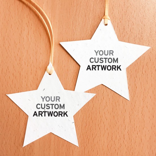 Double-Sided Holiday Star Seed Paper Ornaments 3