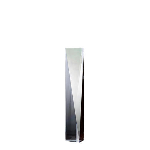 CITY SPIRE AWARD SMALL 2