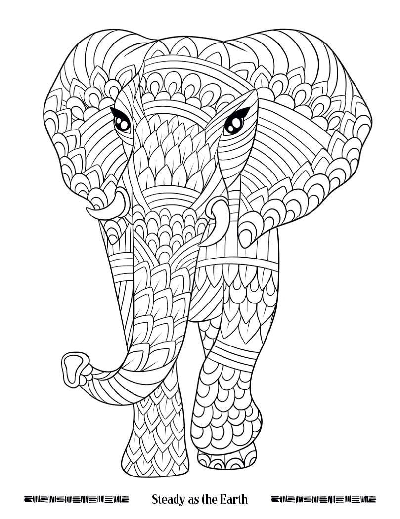 Good Value™ Wild Wonders Adult Coloring Book 24