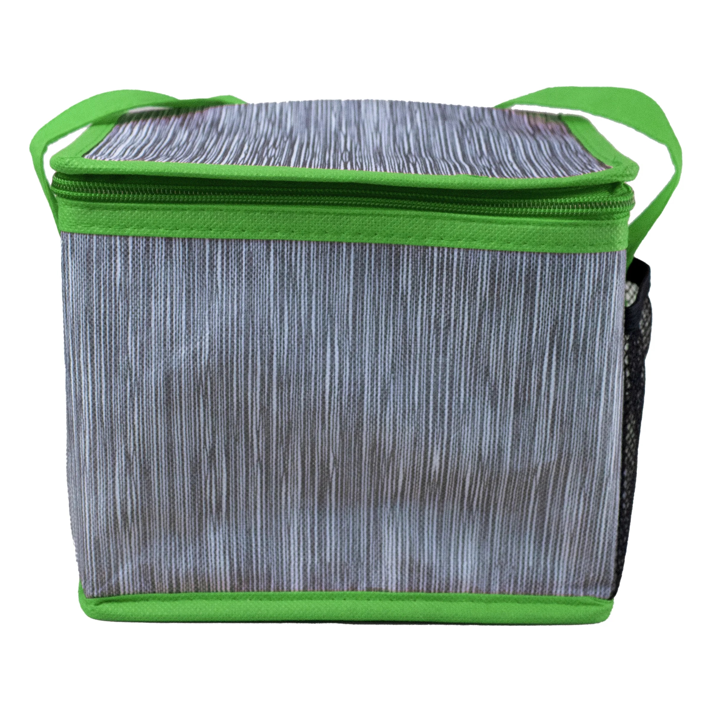 Recycled Lunch Cooler 12