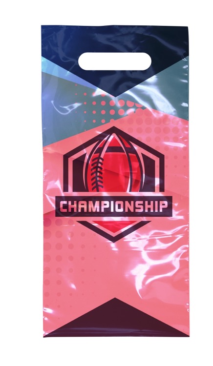 Digital Full Color 2-Sided Clear Plastic Bag (6" x 13") 1
