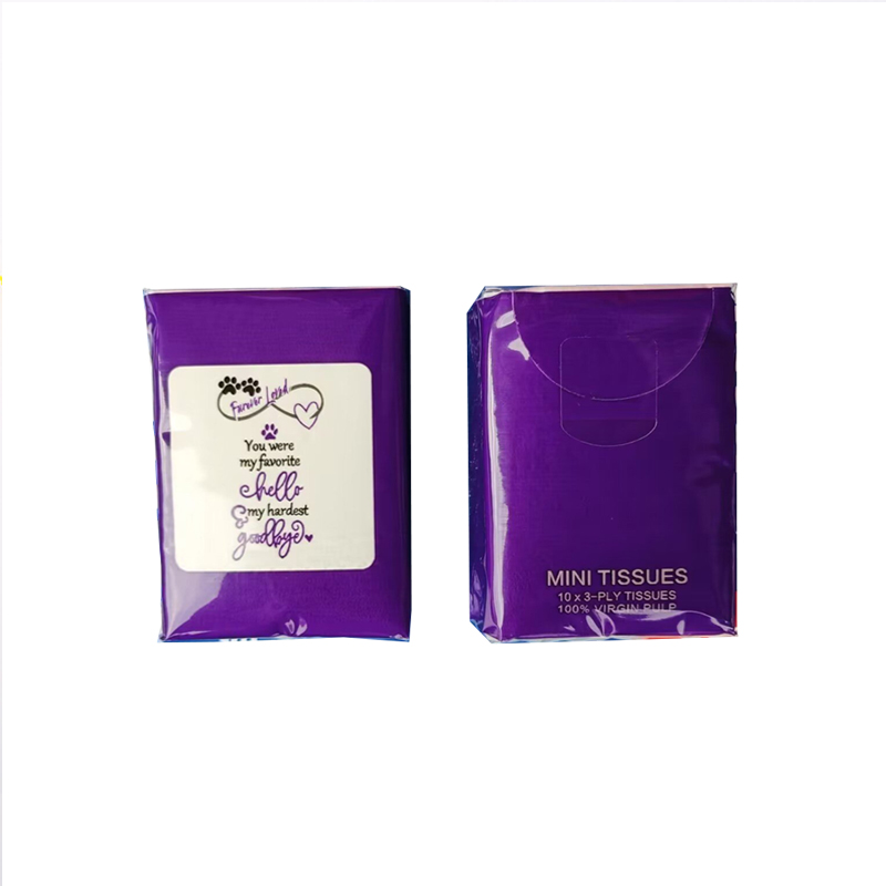 Pocket Tissue 2
