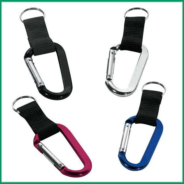 Alta Carabiner Keyring 1
