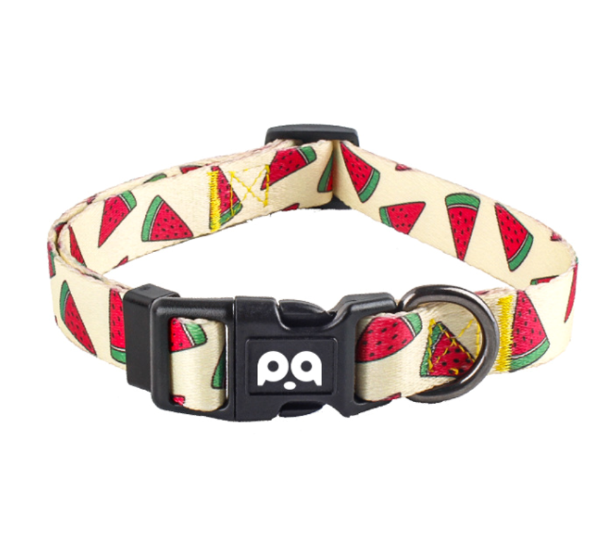 Pet Collor 3