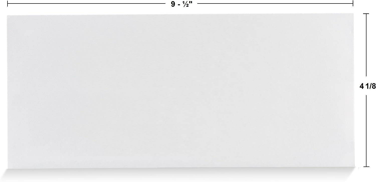 Security Tint Pattern Self-Seal Envelope 3