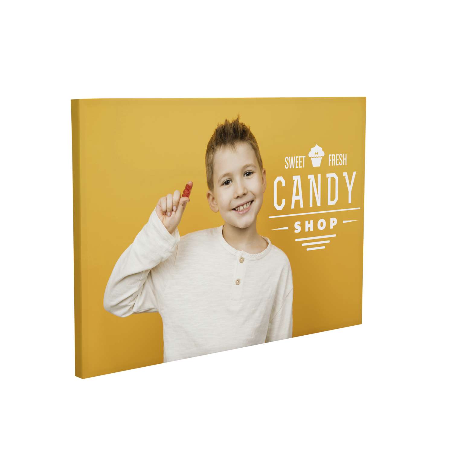 30" x 40" Canvas Print