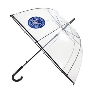 42'' Arc Clear Auto Open Umbrella With Hook Handle 1