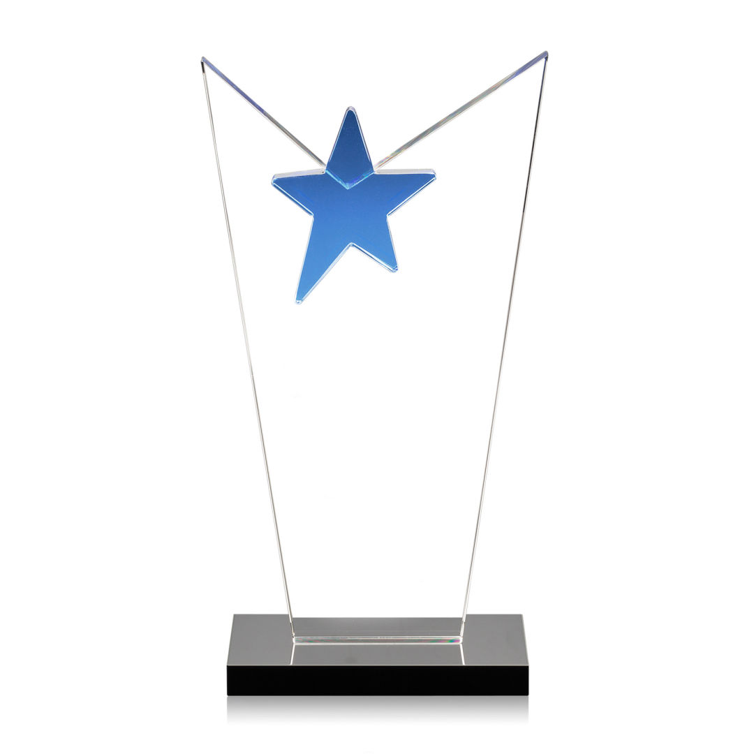 McKinley Star Award 2