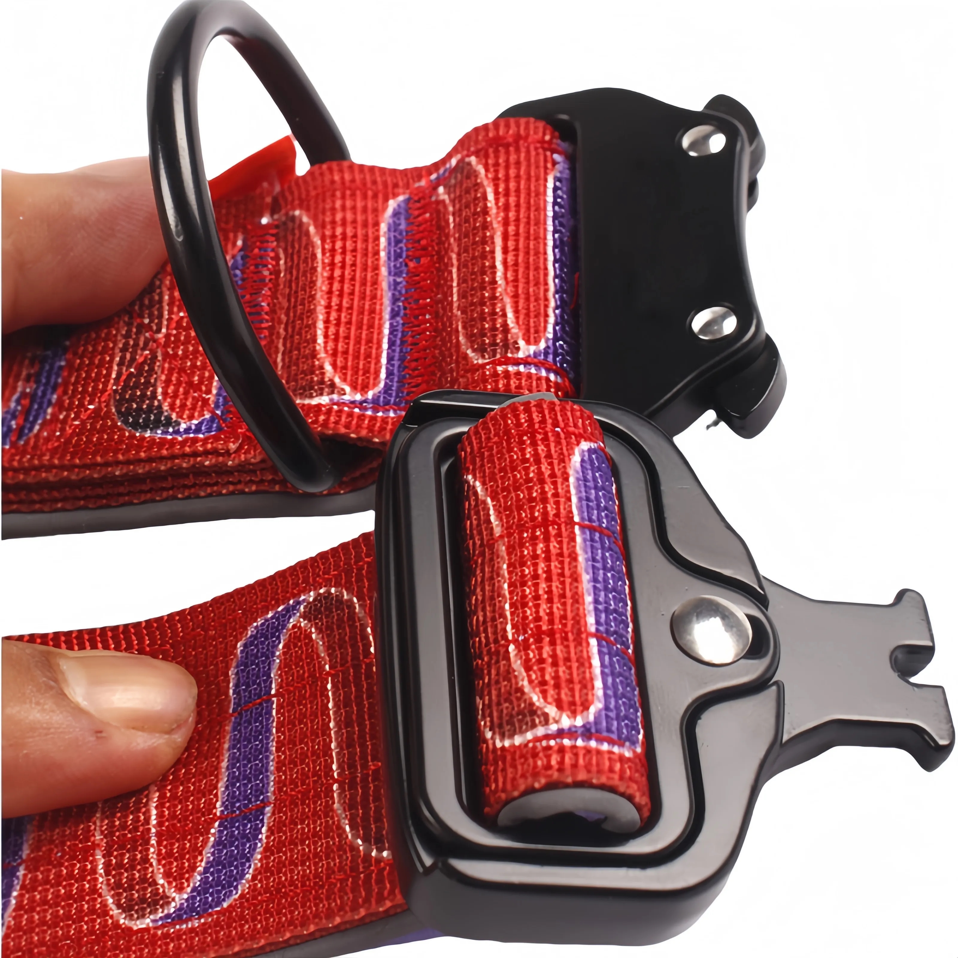 Pet Collar 1