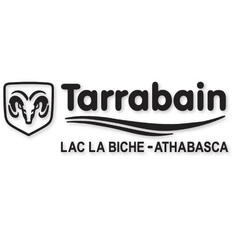 Econo Silhouette Decals .0025 Calendered 5 year vinyl (21 to 25 sq/in) spot colour 2