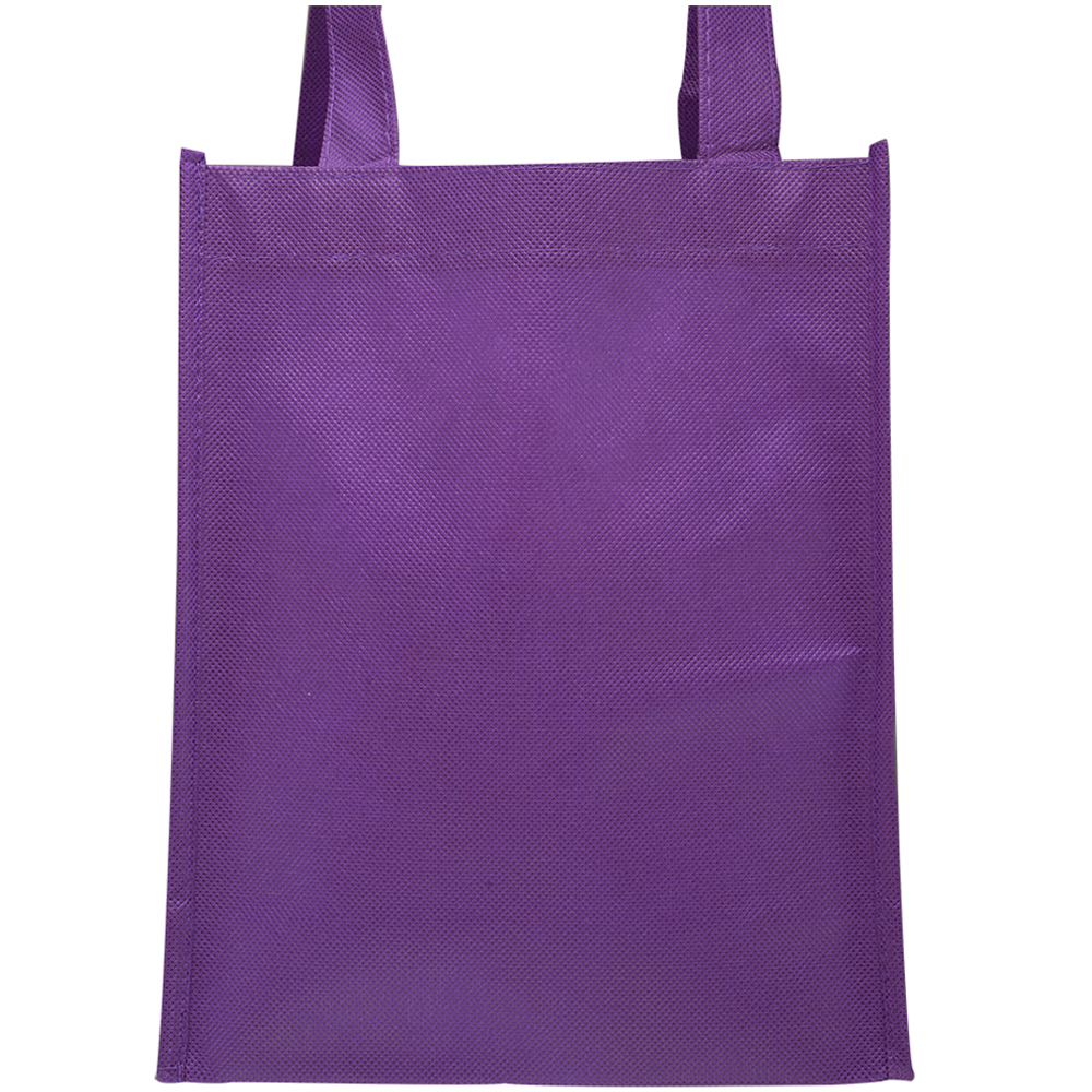 Small Non-Woven Gift Bags 30
