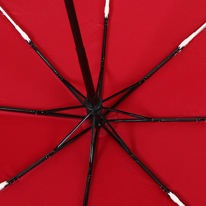 Horizon 44- Arc AutoOpen ClosePortable Umbrella 2