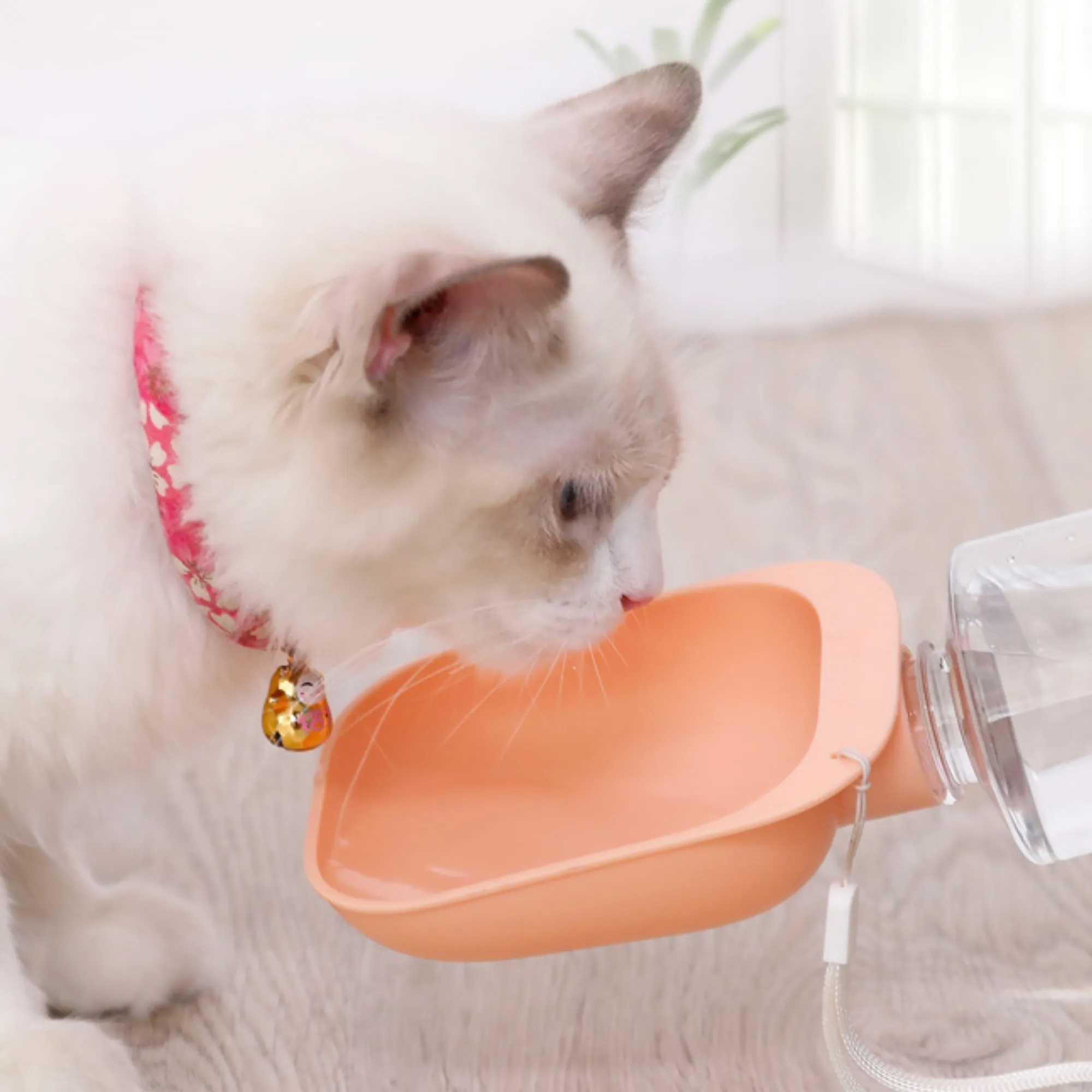 Leak-Proof Portable Outdoor Water Feeder Corporate Events 5