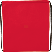 Evergreen Non-Woven Drawstring Bag 9