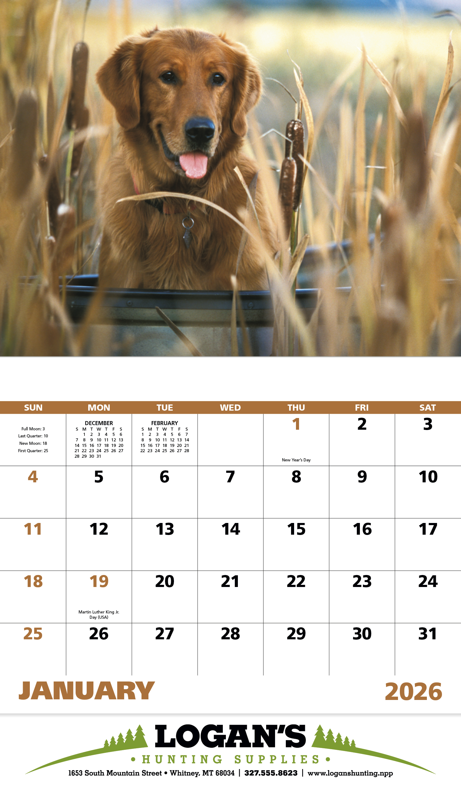 Good Value™ Sporting Dogs - Stapled Calendar 28