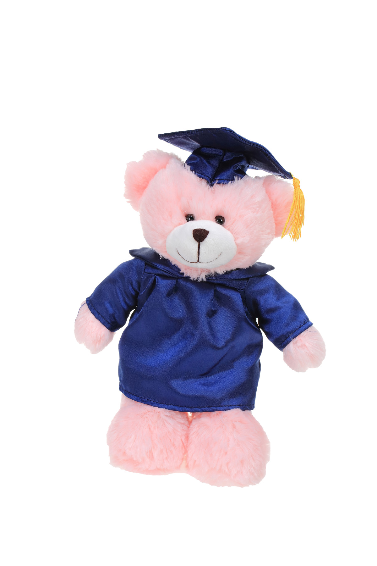 Soft Plush Pink Bear in Graduation Cap & Gown Stuffed Animal 3