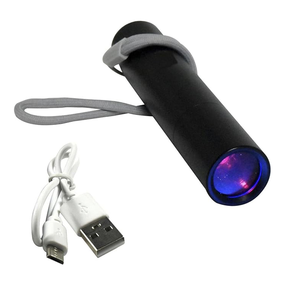 Retractable Flashlight 1