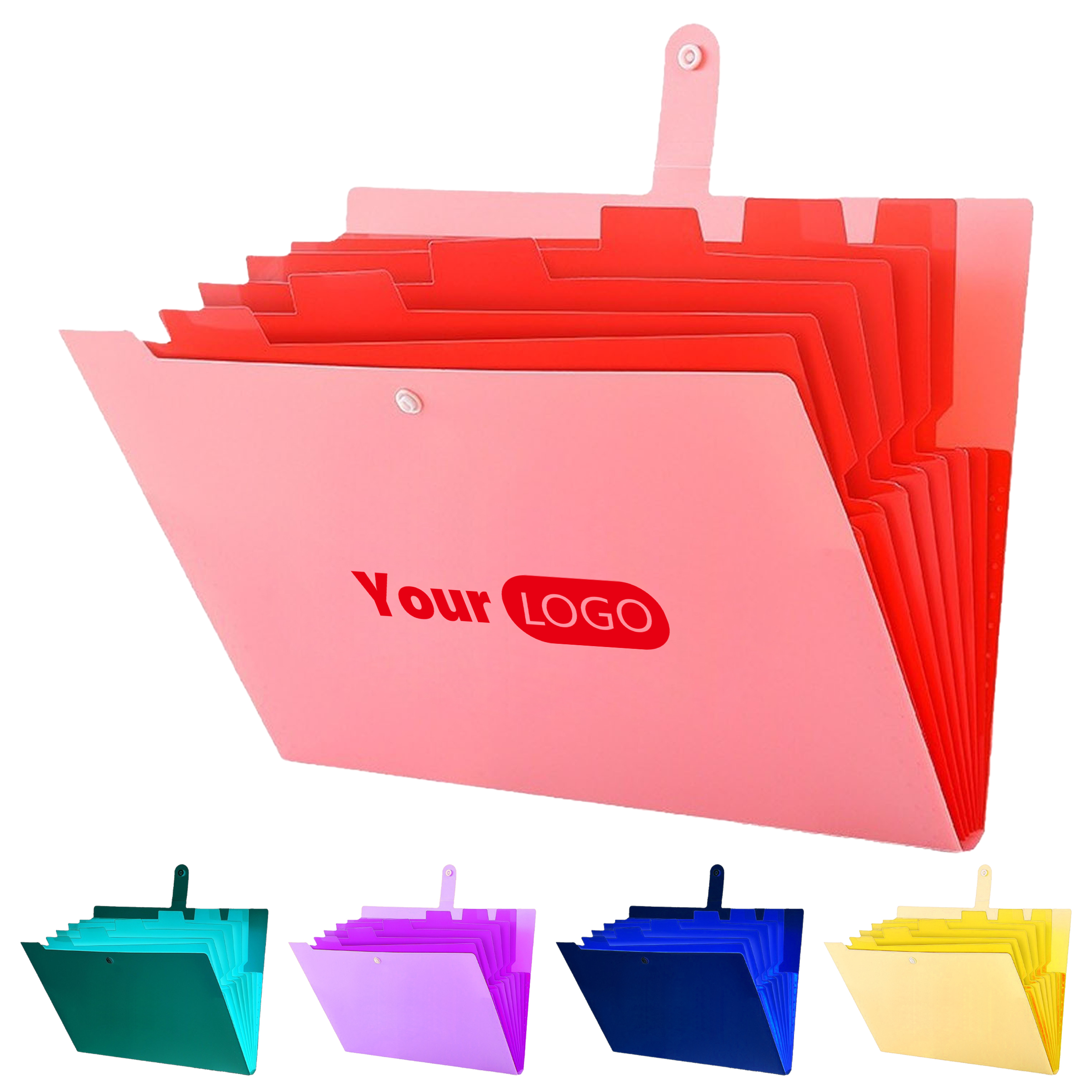 Plastic Effortless Organization With Multi-Section Expanding Folder 2